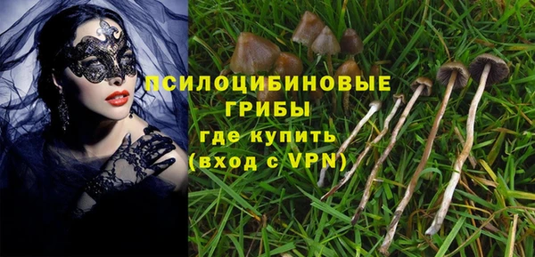 первитин Алексеевка